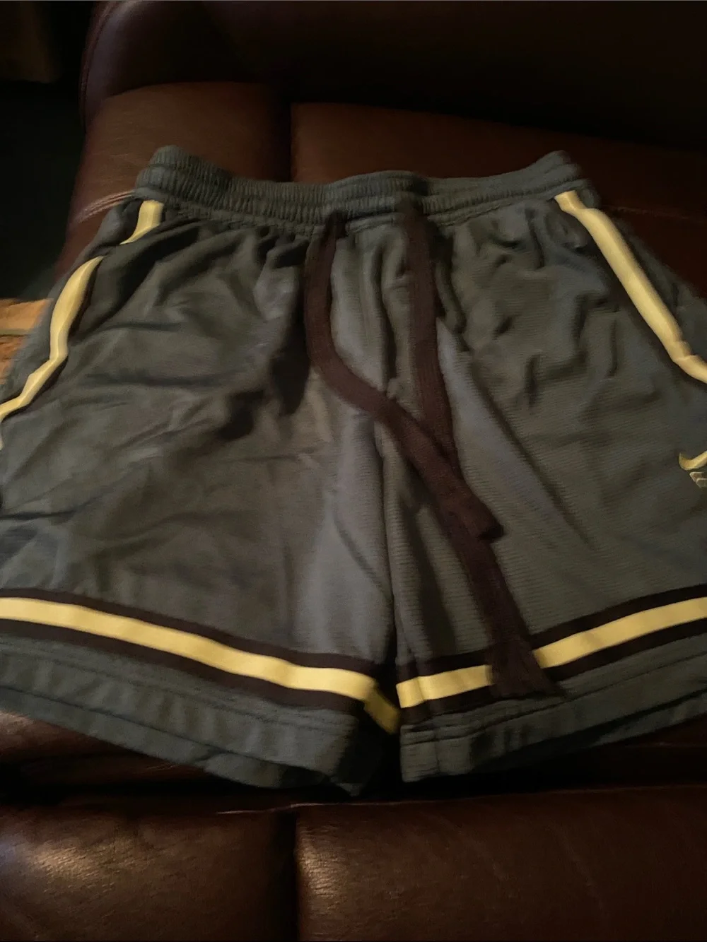 Nike Kids Blue Athletic Shorts with White Trim